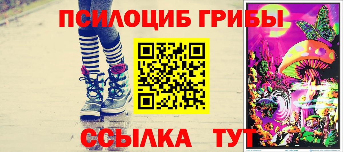 Псков  Галлюциногенные грибы прущие грибы  Галлюциногенные грибы прущие грибы  Вход с VPN 
